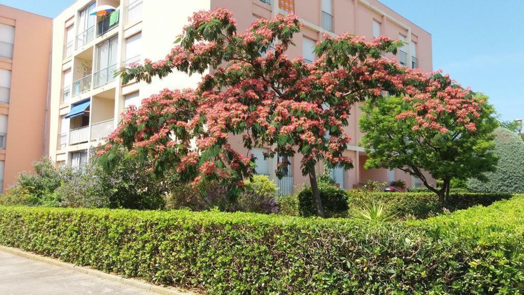 T3 Spacieux Et Lumineux A 5Min Du Port De Sanary - Fleur De Mai Apartment Exterior photo